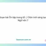 soạn bài Ôn tập trang 65 chân trời sáng tạo ngữ văn 7