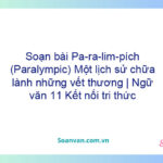 Soạn bài Pa-ra-lim-pích (Paralympic): Một lịch sử chữa lành những vết thương | Ngữ văn 11 Kết nối tri thức