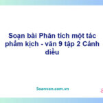 Soạn bài Phân tích một tác phẩm kịch | Cánh diều Ngữ văn 9