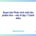 Soạn bài Phân tích một tác phẩm thơ | Cánh diều Ngữ văn 9