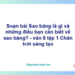 Soạn bài Sao băng là gì và những điều bạn cần biết về sao băng | Chân trời sáng tạo Ngữ văn 8