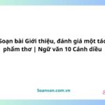 soạn bài thảo luận về một vấn đề có ý kiến khác nhau (1)