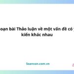 soạn bài thảo luận về một vấn đề có ý kiến khác nhau