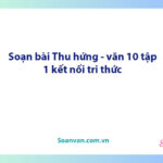 Soạn bài Thu hứng