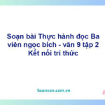 Soạn bài Ba viên ngọc bích