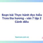 Soạn bài Trưa tha hương | Cánh diều Ngữ văn 7