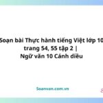 soạn bài thực hành tiếng việt lớp 10 trang 54, 55 tập 2 ngữ văn 10 cánh diều