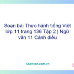 Soạn bài Thực hành tiếng Việt lớp 11 trang 136 Tập 2 | Ngữ văn 11 Cánh diều