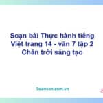 Soạn bài Thực hành tiếng Việt lớp 7 trang 14, 15 tập 2 | Chân trời sáng tạo Ngữ văn 7