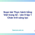 Soạn bài Thực hành tiếng Việt lớp 9 trang 42 Tập 1 | Chân trời sáng tạo Ngữ văn 9