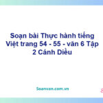 Soạn bài Thực hành tiếng Việt trang 54 - 55 – Cánh diều Văn 6 tập 2