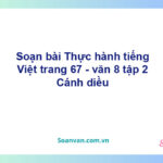 Soạn bài Tri thức ngữ văn lớp 8 trang 67 tập 2 | Chân trời sáng tạo Ngữ văn 8