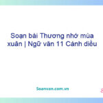 Soạn bài Thương nhớ mùa xuân | Ngữ văn 11 Cánh diều