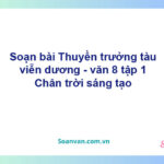 Soạn bài "Thuyền trưởng tàu Viễn Dương" | Chân trời sáng tạo Ngữ văn 8