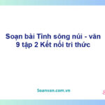 Soạn bài Tình sông núi