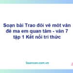 Soạn bài Trao đổi về một vấn đề | Cánh diều Ngữ văn 7