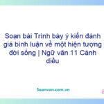 Soạn bài Trình bày ý kiến đánh giá, bình luận về một hiện tượng đời sống | Ngữ văn 11 Cánh diều