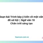 soạn bài trình bày ý kiến về một vấn đề xã hội ngữ văn 10 chân trời sáng tạo