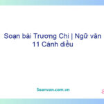 Soạn bài Trương Chi | Ngữ văn 11 Cánh diều