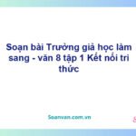 Soạn bài Trưởng giả học làm sang | Kết nối tri thức Ngữ văn 8