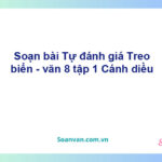 Soạn bài Tự đánh giá: Treo biển | Cánh diều Ngữ văn 8