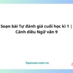 soạn bài tự đánh giá cuối học kì 1 cánh diều ngữ văn 9