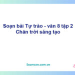 Soạn bài Tự trào | Chân trời sáng tạo Ngữ văn 8