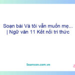 Soạn bài “Và tôi vẫn muốn mẹ...” | Ngữ văn 11 Kết nối tri thức