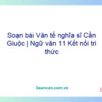 Soạn bài Văn tế nghĩa sĩ Cần Giuộc | Ngữ văn 11 Kết nối tri thức