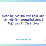 Soạn bài Viết bài văn nghị luận về một hiện tượng đời sống | Ngữ văn 11 Cánh diều