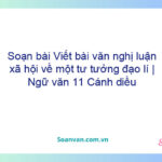 Soạn bài Viết bài văn nghị luận xã hội về một tư tưởng, đạo lí | Ngữ văn 11 Cánh diều