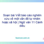 Soạn bài Viết báo cáo nghiên cứu về một vấn đề tự nhiên hoặc xã hội | Ngữ văn 11 Cánh diều