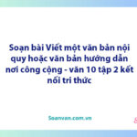 Soạn bài Viết một văn bản nội quy hoặc một văn bản hướng dẫn nơi công cộng | Ngữ văn 10 Kết nối tri thức