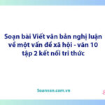 Soạn bài Viết văn bản nghị luận về một vấn đề xã hội | Ngữ văn 10 Kết nối tri thức