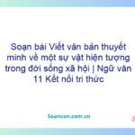 Soạn bài Viết văn bản thuyết minh về một sự vật, hiện tượng trong đời sống xã hội