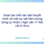 Soạn bài Viết văn bản thuyết minh về một sự vật, hiện tượng trong tự nhiên | Ngữ văn 11 Kết nối tri thức