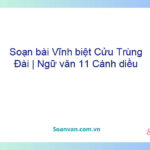 Soạn bài Vĩnh biệt Cửu Trùng Đài | Ngữ văn 11 Cánh diều