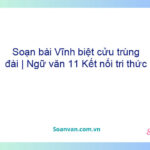 Soạn bài Vĩnh biệt cửu trùng đài | Ngữ văn 11 Kết nối tri thức