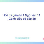 Đề thi giữa kì 1 Ngữ văn 11 Cánh diều có đáp án