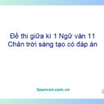 Đề thi giữa kì 1 Ngữ văn 11 Chân trời sáng tạo có đáp án