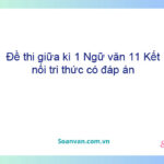 Đề thi giữa kì 1 Ngữ văn 11 Kết nối tri thức có đáp án