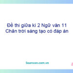 Đề thi giữa kì 2 Ngữ văn 11 Chân trời sáng tạo có đáp án