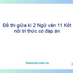 Đề thi giữa kì 2 Ngữ văn 11 Kết nối tri thức có đáp án