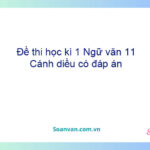 Đề thi học kì 1 Ngữ văn 11 Cánh diều có đáp án