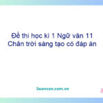 Đề thi học kì 1 Ngữ văn 11 Chân trời sáng tạo có đáp án