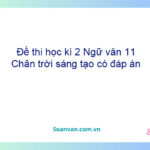 Đề thi học kì 2 Ngữ văn 11 Chân trời sáng tạo có đáp án