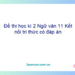 Đề thi học kì 2 Ngữ văn 11 Kết nối tri thức có đáp án