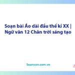 Soạn bài Áo dài đầu thế kỉ XX | Ngữ văn 12 Chân trời sáng tạo