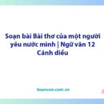 Soạn bài Bài thơ của một người yêu nước mình | Ngữ văn 12 Cánh diều