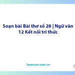 Soạn bài Bài thơ số 28 | Ngữ văn 12 Kết nối tri thức